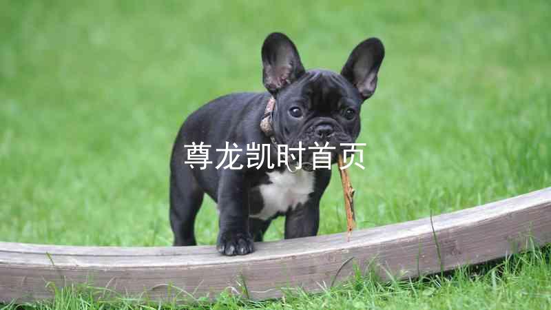 尊龙凯时首页