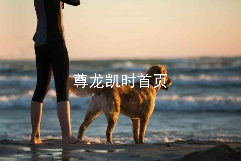 尊龙凯时首页