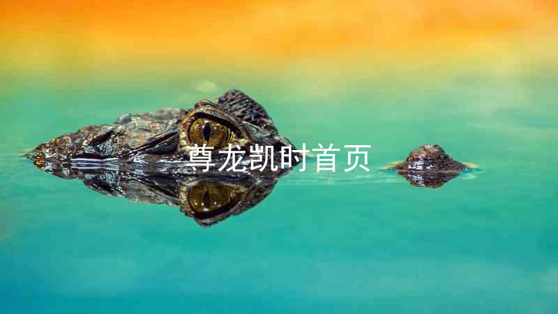 尊龙凯时首页