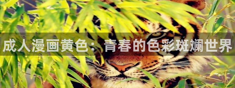 bl51漫画画：成人漫画黄色：青春的色彩斑斓世界