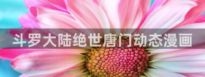 51漫画免费版在线阅读下拉：斗罗大陆绝世唐门动态漫画