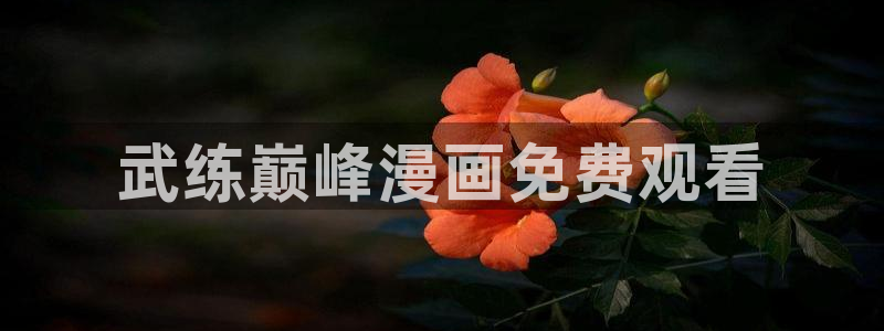 51漫画漫画男同：武练巅峰漫画免费观看
